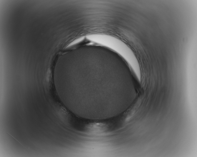 X0000089750748200707051815