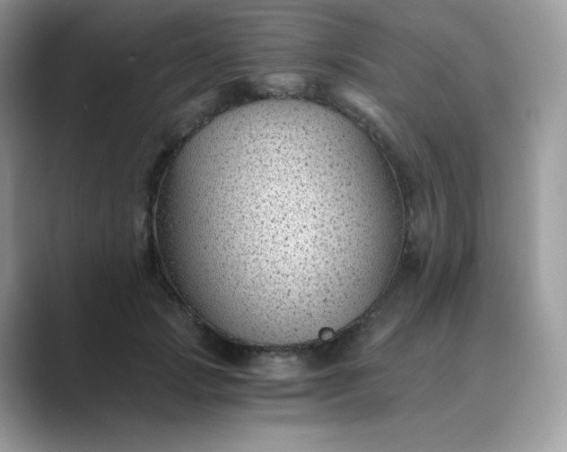 X0000089750749200707051815