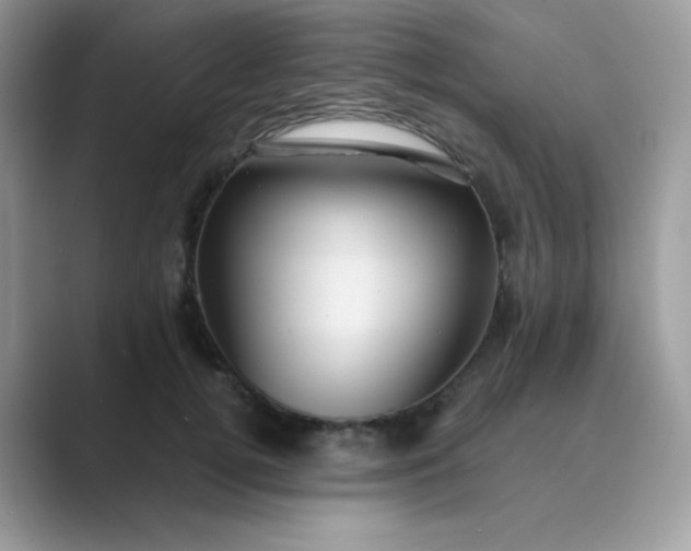 X0000089750752200707051815