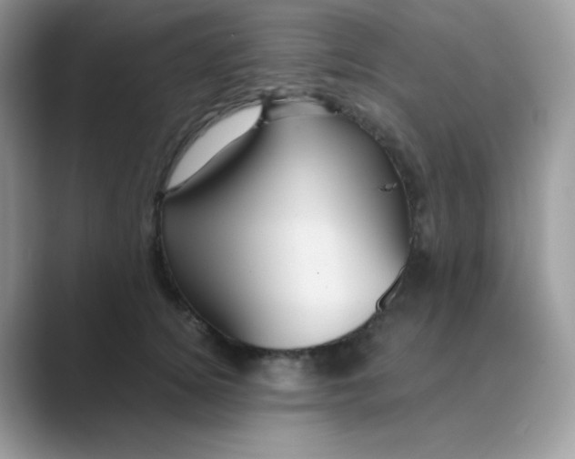 X0000089750756200707051815