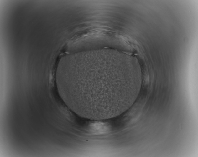 X0000089750759200707051815