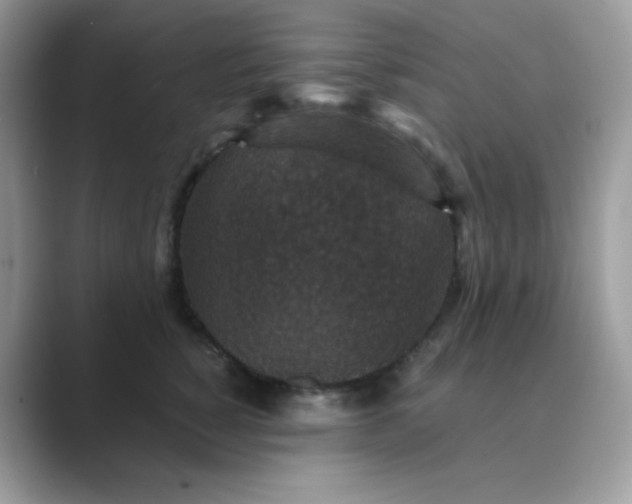 X0000089750760200707051815