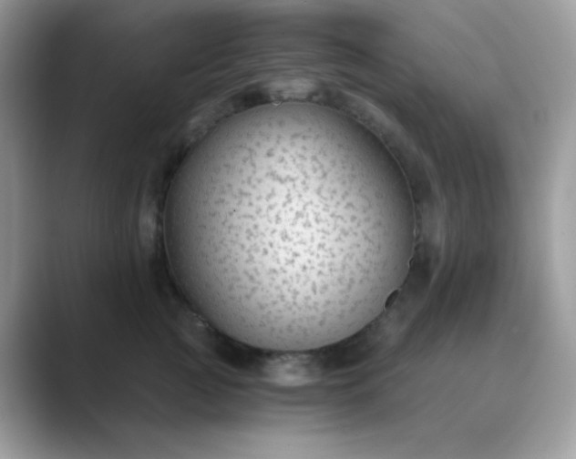 X0000089750761200707051815