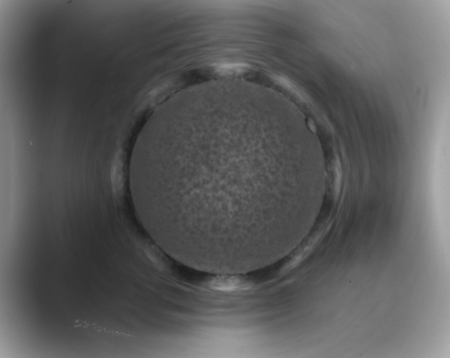 X0000089750762200707051815