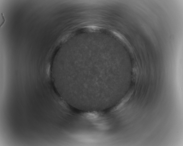 X0000089750765200707051815