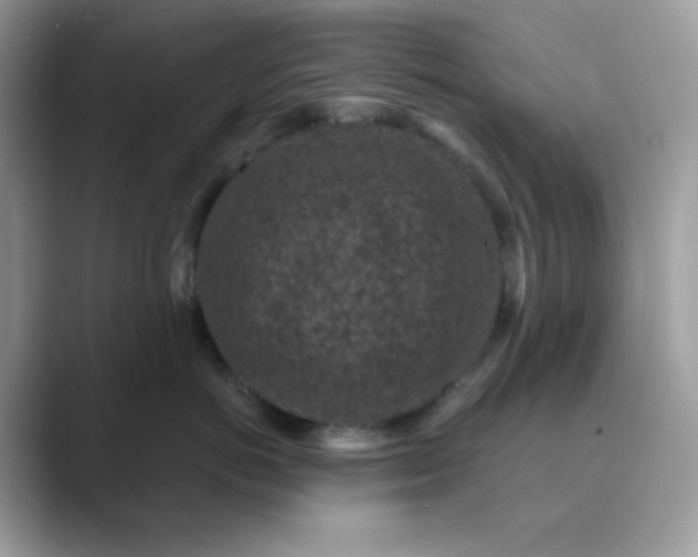 X0000089750766200707051815