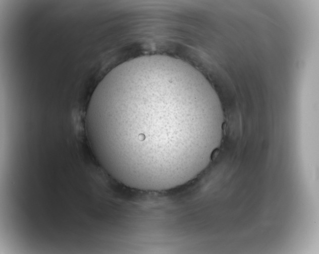 X0000089750770200707051814