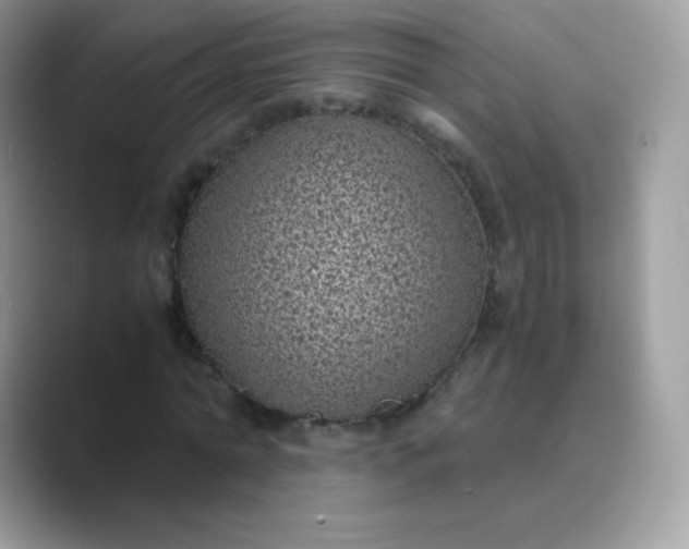 X0000089750774200707051814