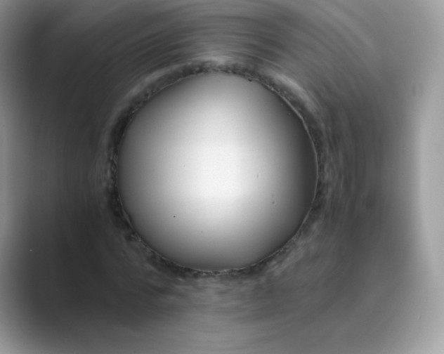 X0000089750776200707051814