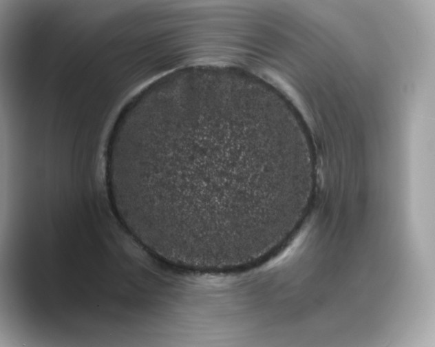 X0000089750779200707051814