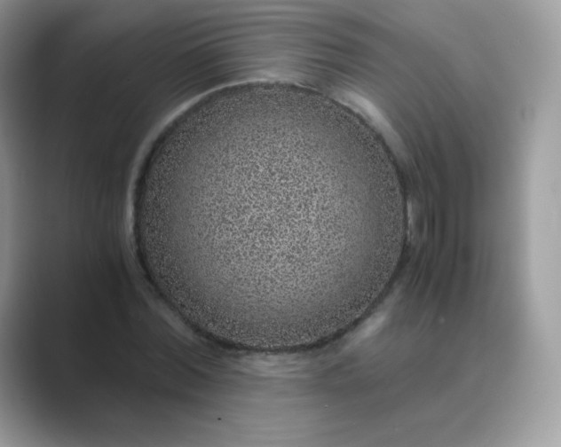 X0000089750780200707051814