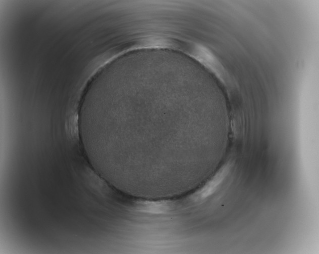 X0000089750781200707051814