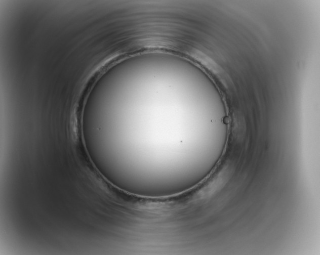 X0000089750782200707051814