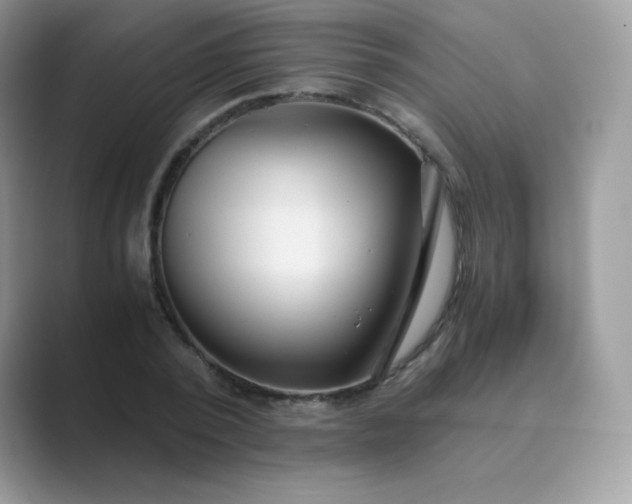 X0000089750784200707051814