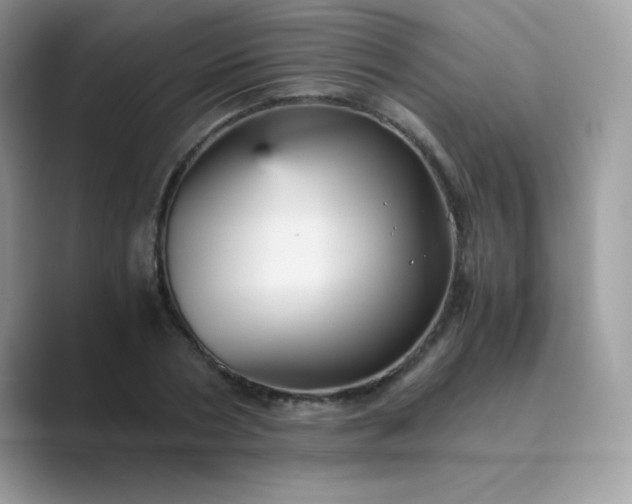 X0000089750786200707051814