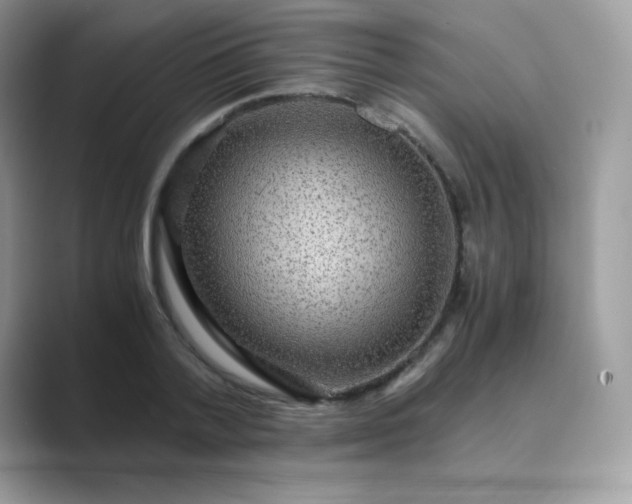 X0000089750788200707051814