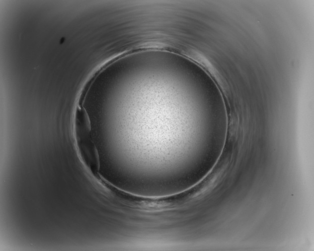 X0000089750795200707051814