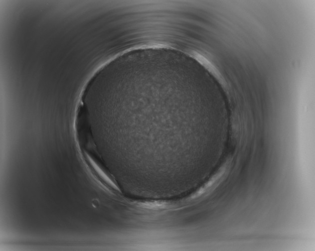 X0000089750797200707051814