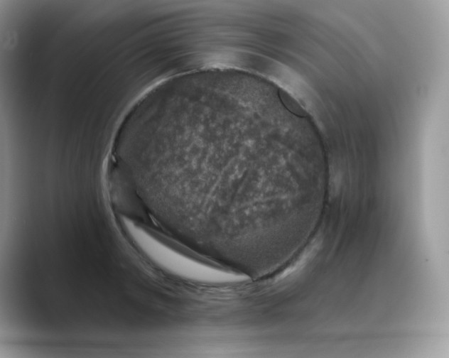 X0000089750798200707051814