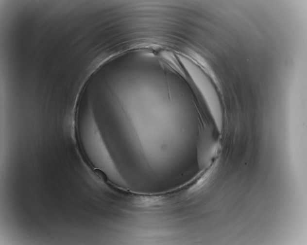 X0000089750802200707051814