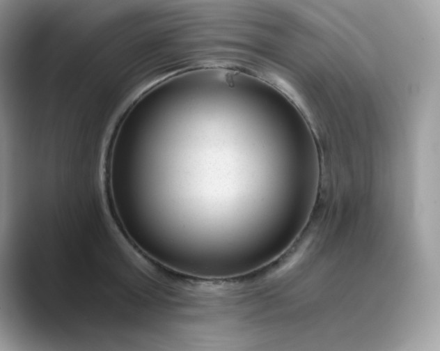 X0000089750803200707051814