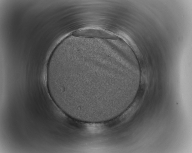 X0000089750804200707051814