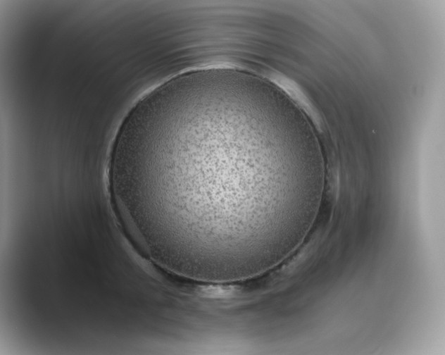 X0000089750805200707051814