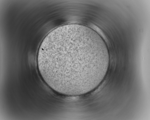 X0000089750810200707051814