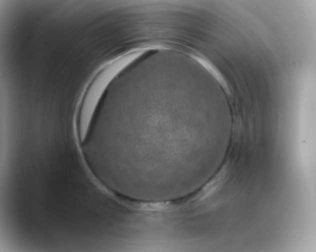 X0000089750813200707051814