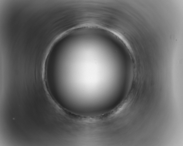 X0000089750815200707051814