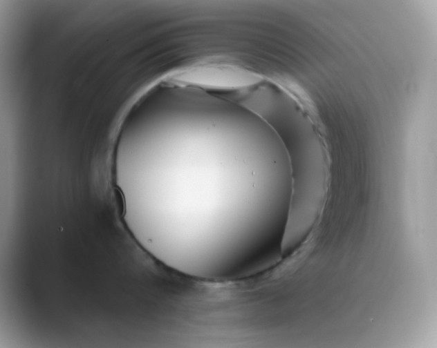 X0000089750816200707051814