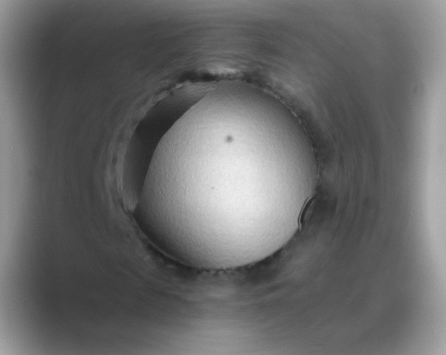 X0000089750817200707051813