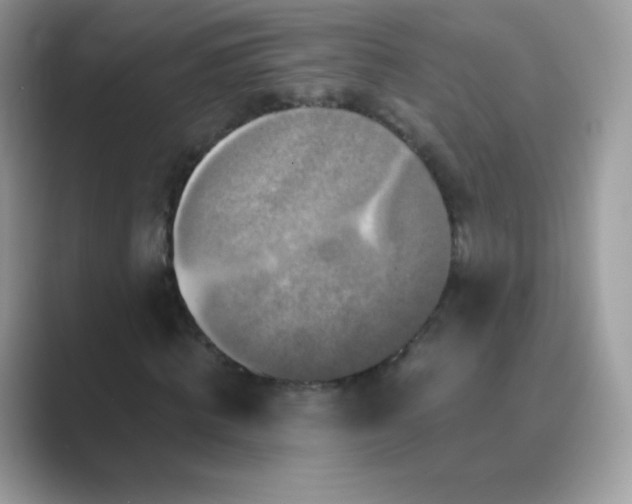 X0000089750820200707051813