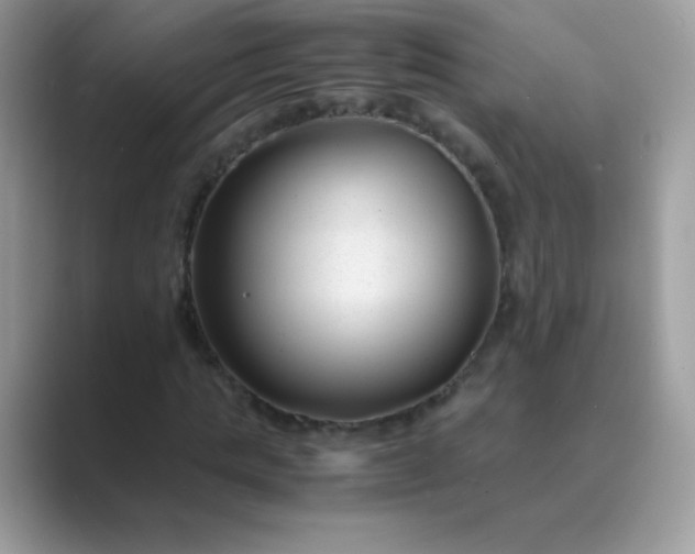 X0000089750821200707051813