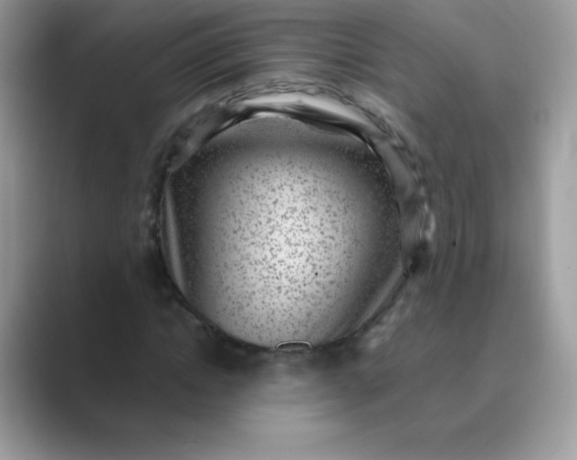 X0000089750822200707051813