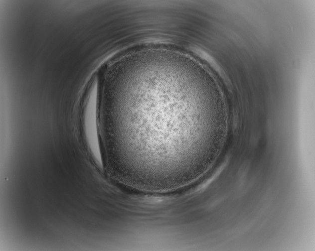 X0000089750829200707051813