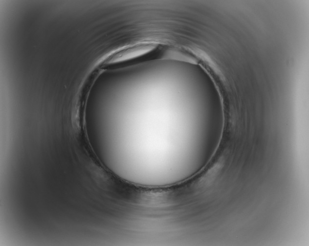 X0000089750830200707051813