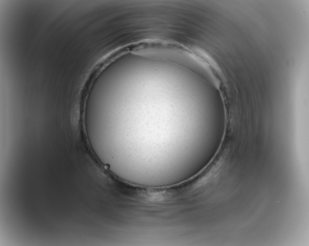 X0000089750831200707051813