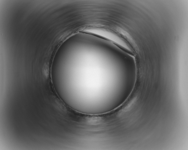 X0000089750833200707051813