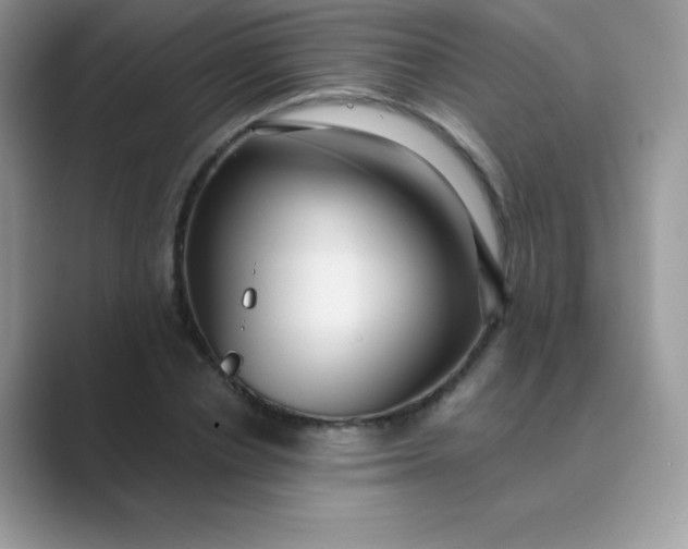 X0000089750834200707051813