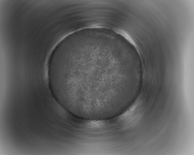 X0000089750835200707051813