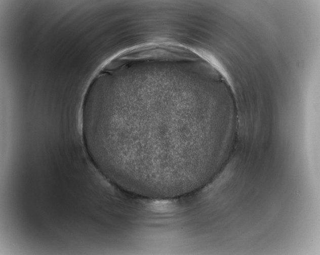 X0000089750839200707051813