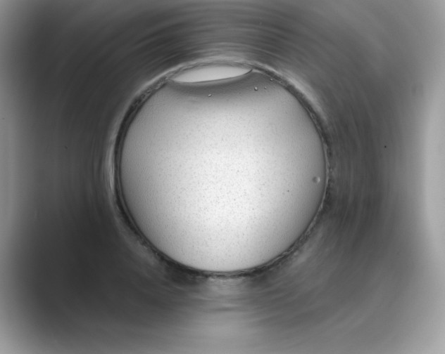 X0000089750840200707051813