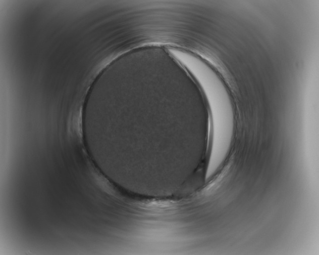 X0000089750842200707051814