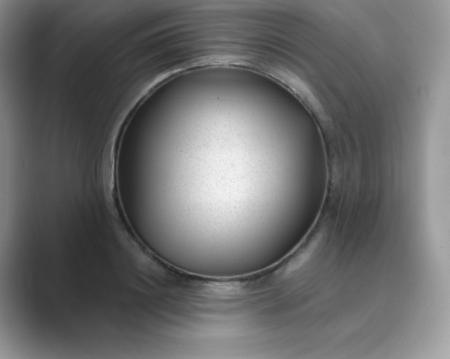 X0000089750844200707051814