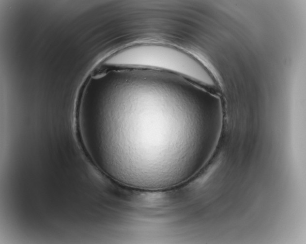 X0000089750845200707051814