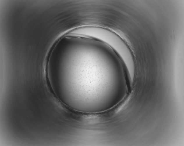 X0000089750846200707051814