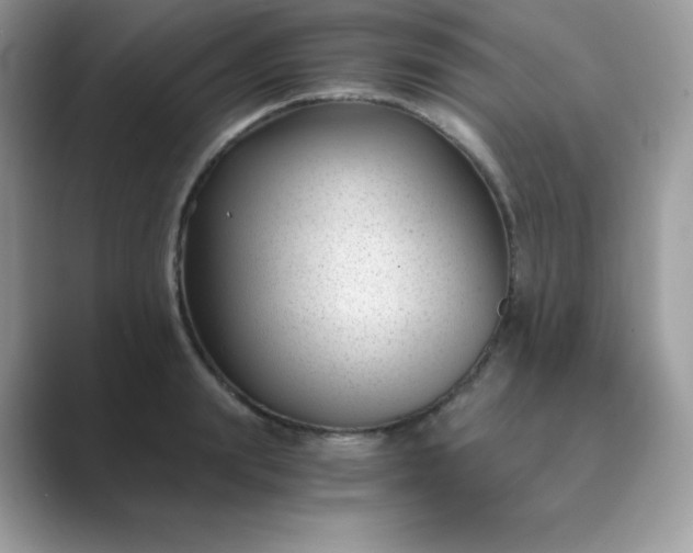 X0000089750847200707051814