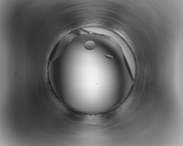 X0000089750850200707051814