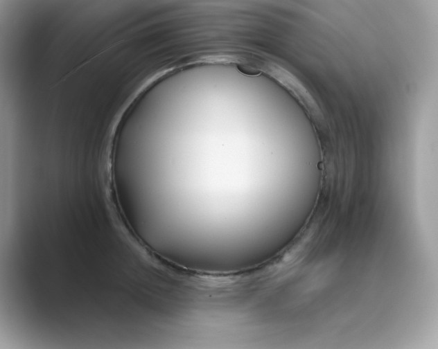 X0000089750852200707051814